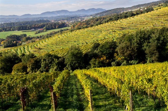 Jesień na Pohorju. Styrja, Podravje.