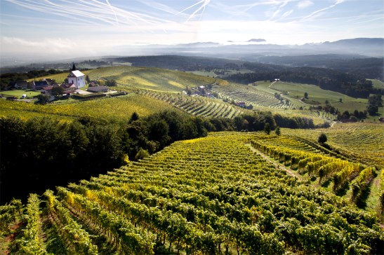 Niedzielny poranek na Pohorju. Styrja, Podravje.