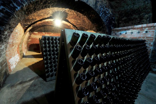 Mat. prasowe Radgonske gorice d.d.