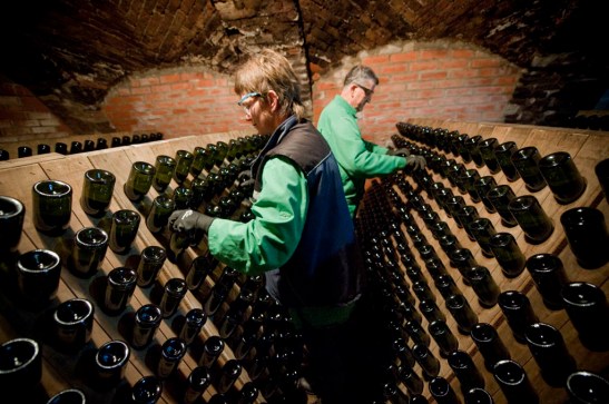 Mat. prasowe Radgonske gorice d.d.