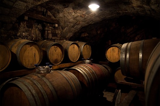 Piwnica pełna terana