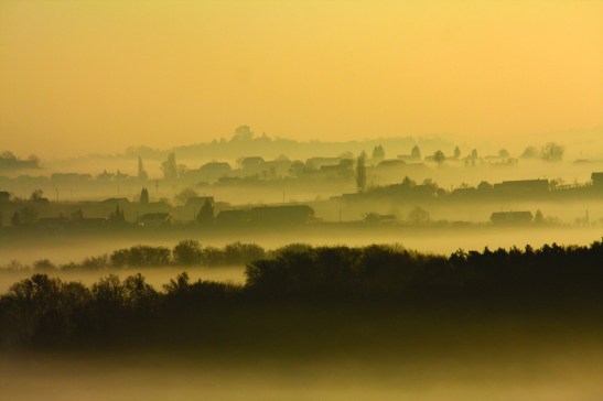 Podregion winiarski Ljutomer-Ormož, materiały prasowe P&F Wineries