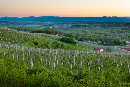 154308-F009005-bela_krajina_pohodnistvo_jost_gantar_1_orig_jpg-photo-m