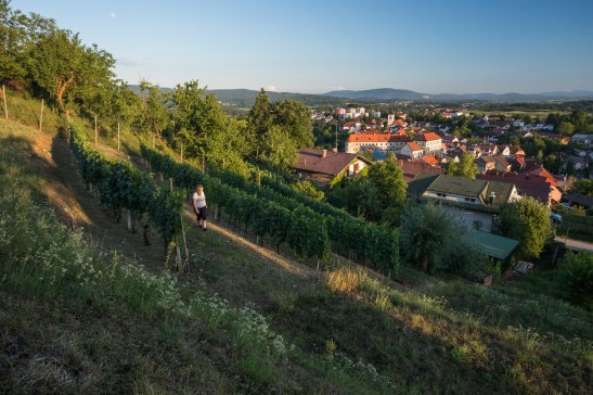 159046-F010309-metlika_jost_gantar_4-photo-m