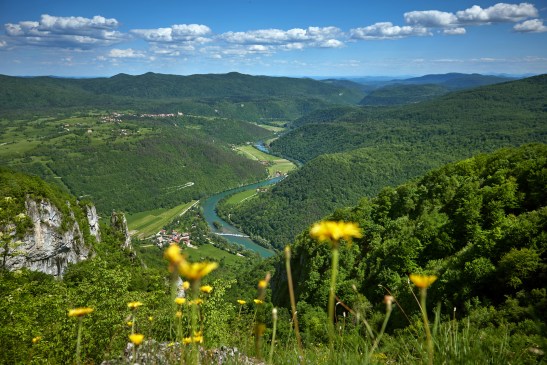 53081-F001984-poglednakolposkozic47_orig_jpg-photo-m