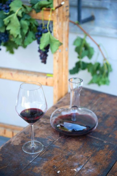 F004859-23_rdece_vino_goriska_brda_orig_jpg-photo-m