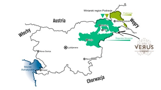 MapaWina i strzałka