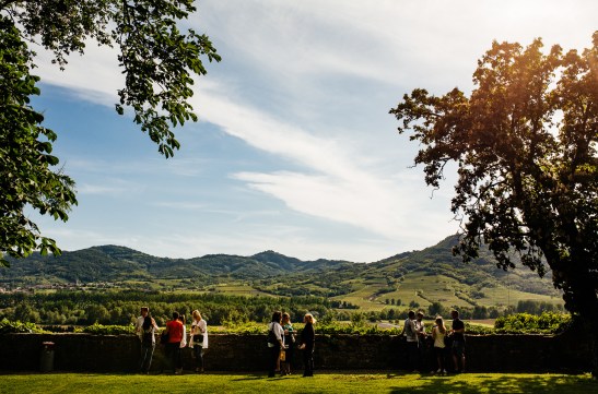 Okusi_Vipavske_2017_06