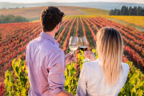 009959_Brič - Večerja pod drevesom _ par z vinom_Foto Jaka Ivančič_10102018