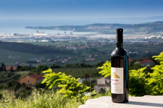 F011816-praznik_refoska_1309_180520_vp-photo-m