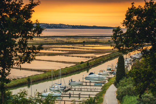 feel_and_taste_kmetija Gramona_Branko_Furlanic (20)