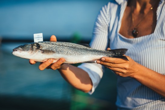 feel_and_taste_Ribogojnica Fonda_Branko_Furlanic (11)