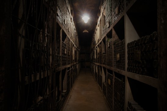 ptuj archiwum 1800x1200